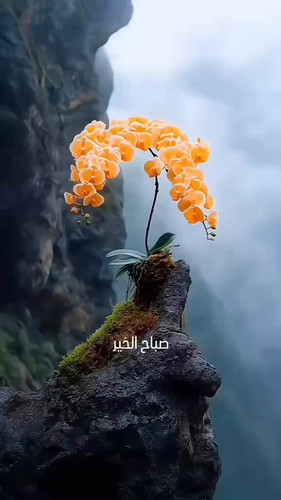 Yez3 Kp atSQ9asD.jpg