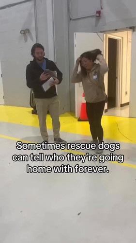 YP VcOt iGk9ddLE.jpg