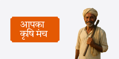 अब ऑनलाइन उपलब्ध (22).png