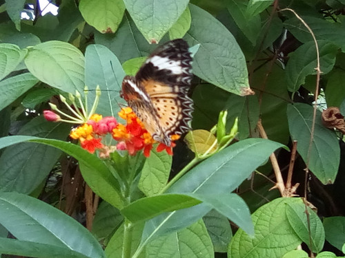 IMG 20191015 143837.jpg