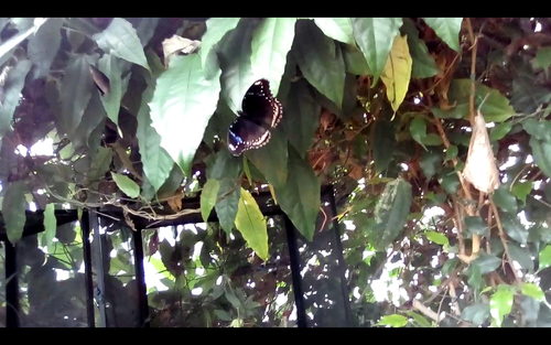 Screenshot 20250507 172218.png