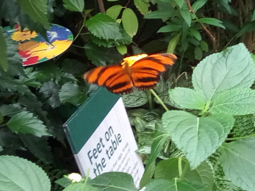 IMG 20191015 143804.jpg