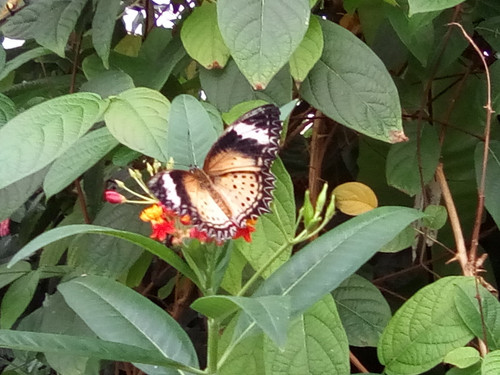 IMG 20191015 143827.jpg