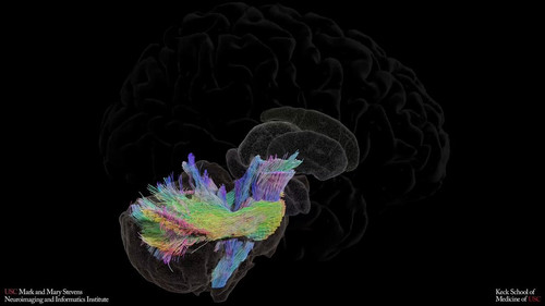 evV447NUV kw48I7.jpg