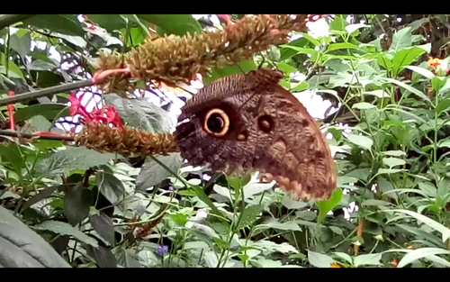 Screenshot 20250507 171909.png