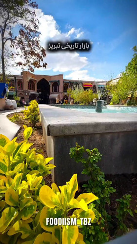 wOFvf NX13haVsNL.jpg