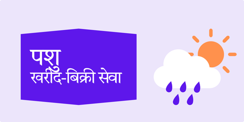 अब ऑनलाइन उपलब्ध (20).png