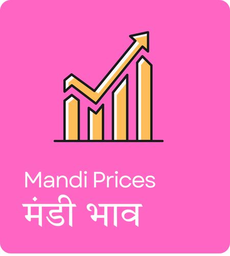 HOME SERVICE (13).png