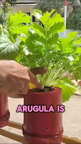 UAqbWW1 xwEpmW A.jpg