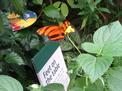 IMG 20191015 143806.jpg