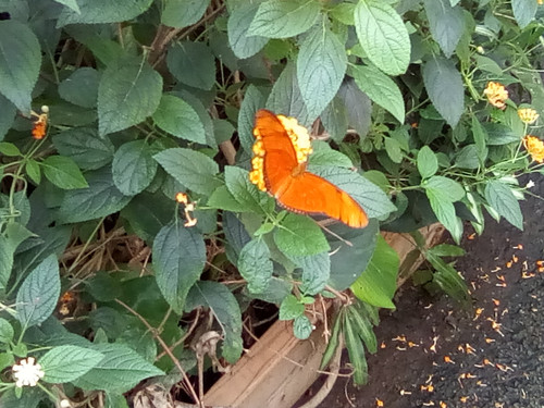 IMG 20191015 143747.jpg