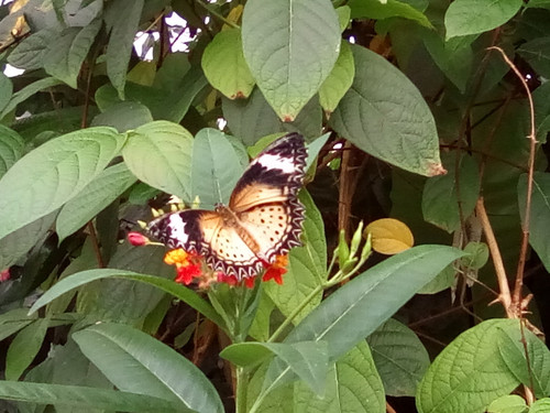 IMG 20191015 143823.jpg