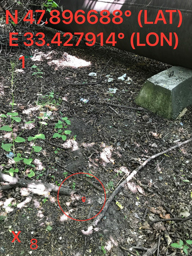 5251449383629749513.jpg