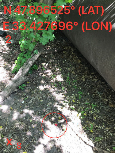 5251449383629749451.jpg