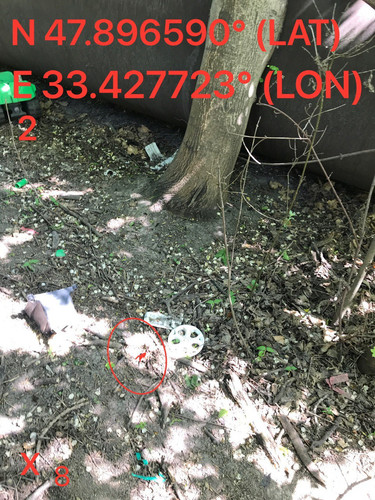 5251449383629749460.jpg