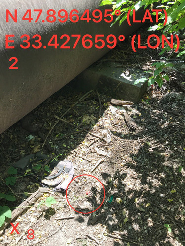 5251449383629749450.jpg