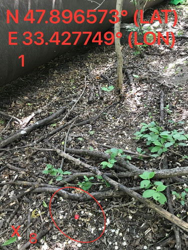 5251449383629749485.jpg