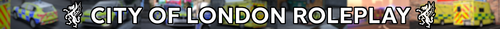 SERVER BANNER.png
