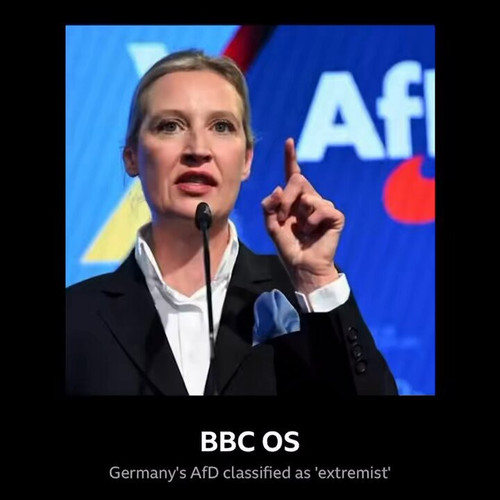 Z NpZWnN3nNgoA9Q.jpg