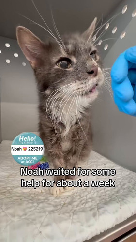 Xu kIECPzime7TAF.jpg