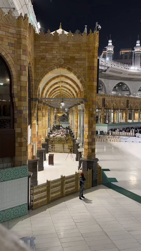 ppB 0tvQa4OBVTpy.jpg