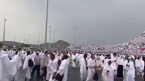 tvBWhRSsc0jDSSui.jpg