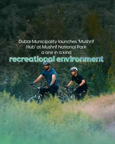 iI8ck1d hoDS rNb.jpg