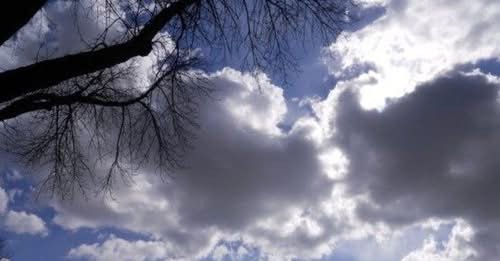 258247739493817841?url=https%3A%2F%2Fshqiptarja.com%2Fuploads%2F780x440%2F1746683238 vranesira.jpg%3.jpg