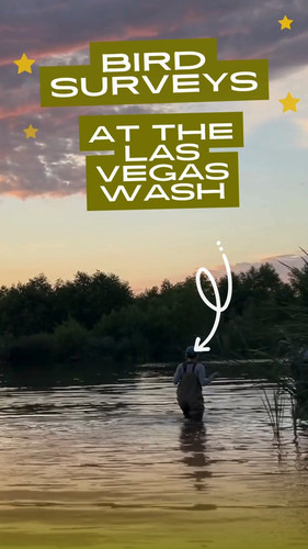Gqcm6yvXcAA0p3R.jpg