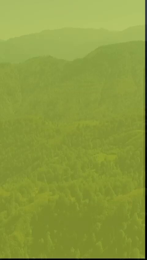 gCni mK xJ4OdaQ8.jpg