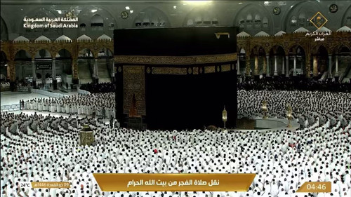 nyl3Vrn 8SWo0dSL.jpg