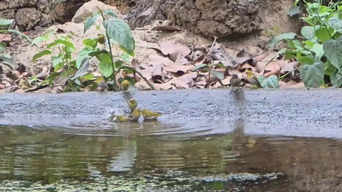 UGcdierS1 TgjfmA.jpg