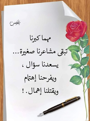 GqXU5TGWwAA M3o.jpg