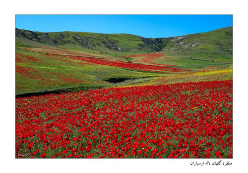 TS4w2ctvlvnbJP3ow814e4H2scrPqBVsBmGEZGMqNNWzpZC RrRwsb gpX6SMj4u4awNQ6dIw5HuApL YzK3Ki9rEhh04nMJutsg.jpg