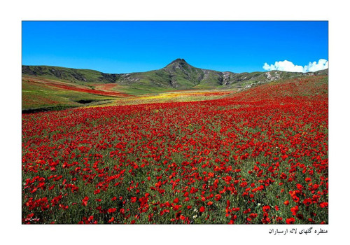 vgIWgoCsDyH2srC4W3Nssdt6p9xsf JJLvmg3THaG0VgnEhQAWgy6p3xZHu5Jt0u3akOd62fJ2muiQA1akkp1boZe8 0HXifaplZ.jpg