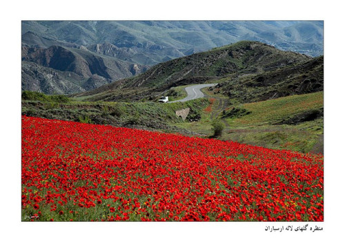 D8 fgAzJB nJxHtL9jUd7NprwlhYy8lALDFhDqBePf4DOR6fPC77VWkXj0x36wA acJlRq36zF61cho3KKXp 0bKI17xi T6xpab.jpg