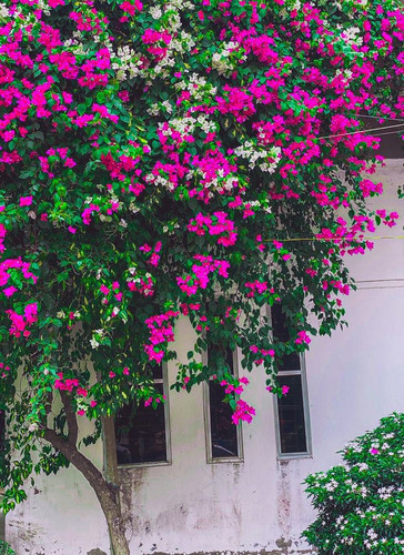 1d1df8c1b1fab0536ae77c0c24c2d019 (1).jpg