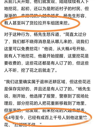 Camera 1040g3k031h7hduou340g5n4gb2akndnb9vu11c8.jpg