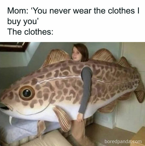 random memes funny 22