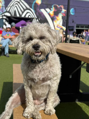 CC7A5CB6 803A 4094 A551 B549E93470C7.jpg