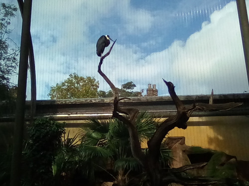 IMG 20191015 131829.jpg