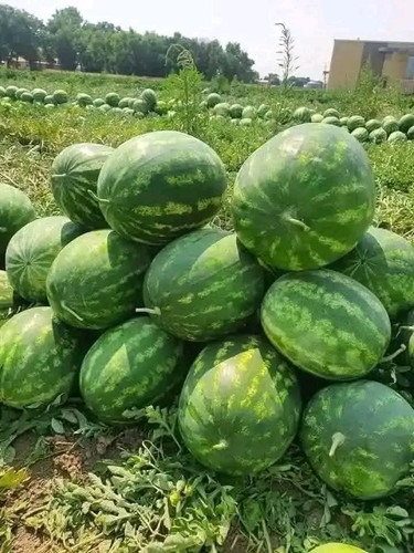 GqWunJVXAAAtw6U.jpg