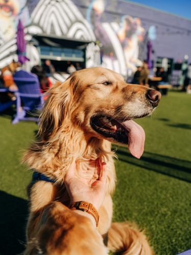 SkiptownDenver 3.22.25 05 (4).jpg