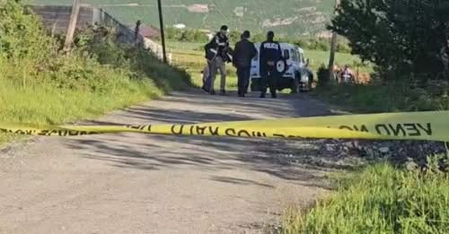 10571271206206769225?url=https%3A%2F%2Falbeu.com%2Fwp content%2Fuploads%2F2025%2F05%2F640 0 17466399.jpg