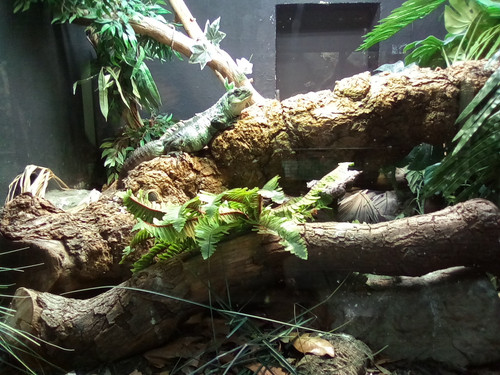 IMG 20191015 131039 burst 01.jpg
