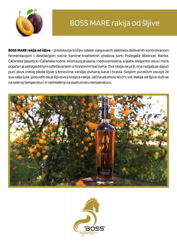 468174818 122154572852309794 862259556639827361 n.jpg