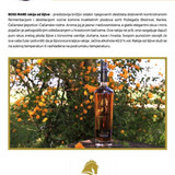 468174818 122154572852309794 862259556639827361 n