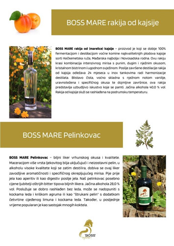 468248288 122154572840309794 4369831258941533847 n.jpg