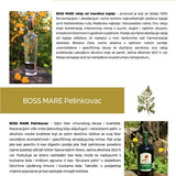 468248288 122154572840309794 4369831258941533847 n