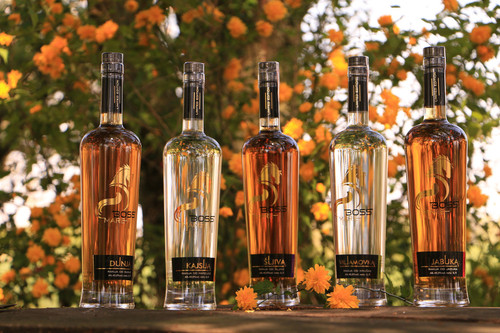 468180418 122154572996309794 615974090046462714 n.jpg